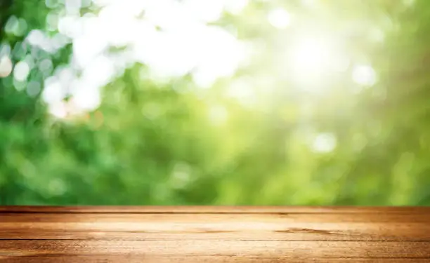 Photo of Empty blank wooden plank, deck or table with defocused green trees background