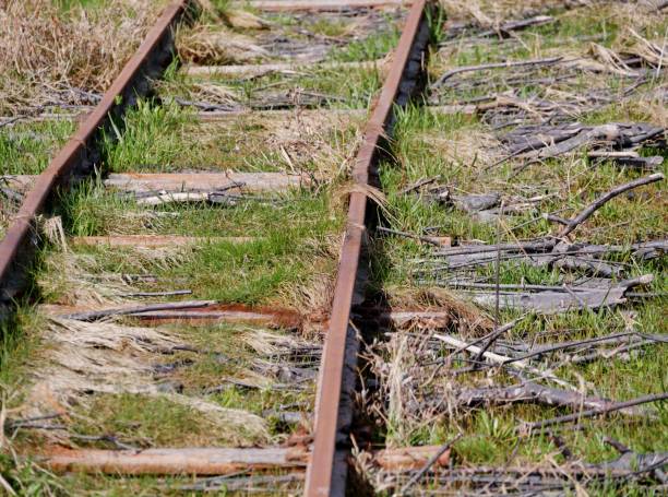 istock Disused tracks on the North Sea coast 1405902014