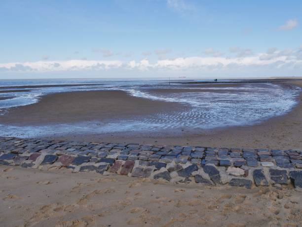 istock Steinwalll in the North Sea mudflats 1405902105