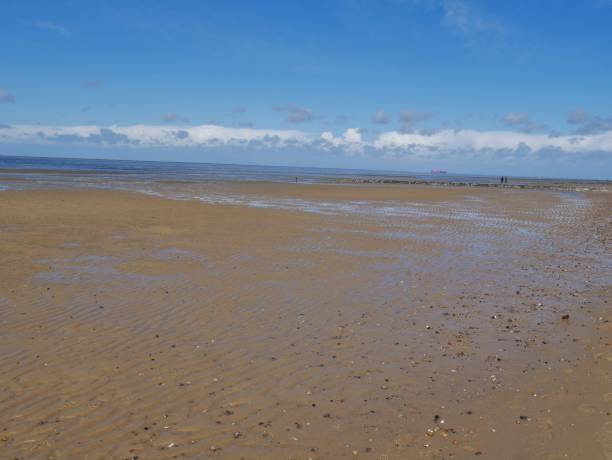 istock Seabed at low tide on the North Sea 1405902118