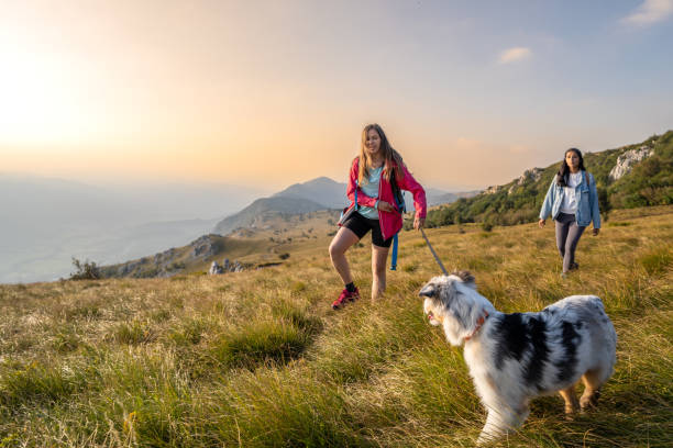 istock Young females on romantic walk with pet 1405906659
