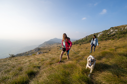 Wide shot of women walking with dog in grassy meadow in mountain landscape. Spending time in nature with friends, enjoying day in mountains.
