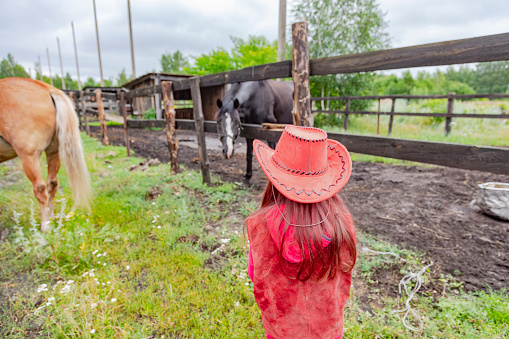 Pretty little girl in in red clothes with horse on sunny summer day.