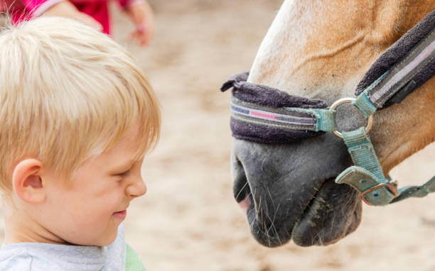 istock Boy with horse in farm 1405906772
