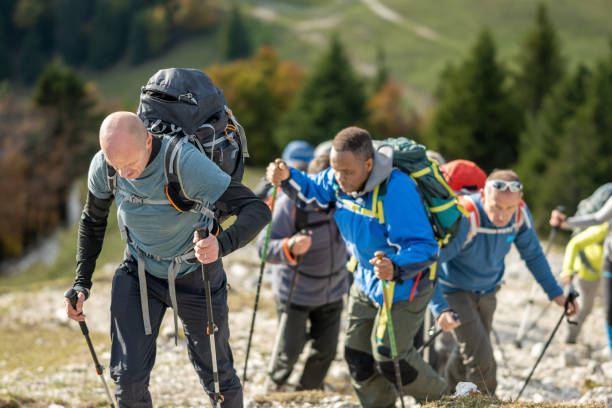 istock Group of hikers with backpacks walking in nature 1405908117