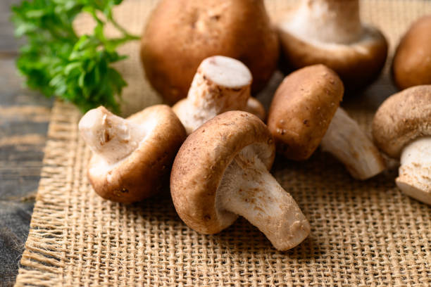 istock Fresh shiitake mushroom, edible mushroom 1405910387