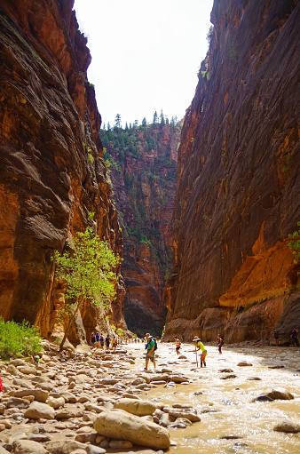 Hiking The Narrows in Zion National Park