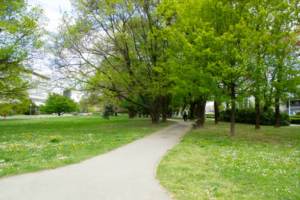 istock Green Corridor Clear Passage Springtime Downtown Outdoors Financial District Capital City Croatian Culture Zagreb Cityscape Europe 1405916228