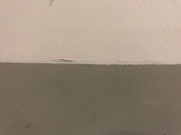 istock interesting white and gray wall photos 1405916503