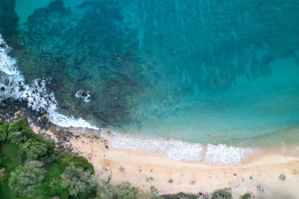 istock Aerial view of beach 1405918093