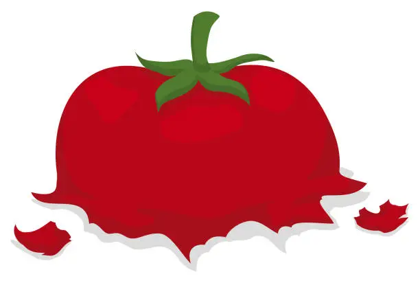 Vector illustration of Sliced and ragged tomato over white background, Vector illustration