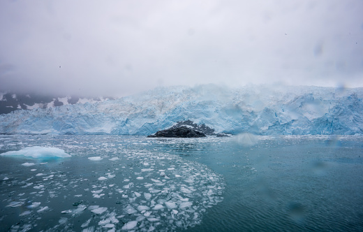 Alaska glacier bay harbor seals on iceberg floating nearby glaciers on on blue sea. Cruise ship to Glacier Bay National Park view panorama banner. marine wildlife .