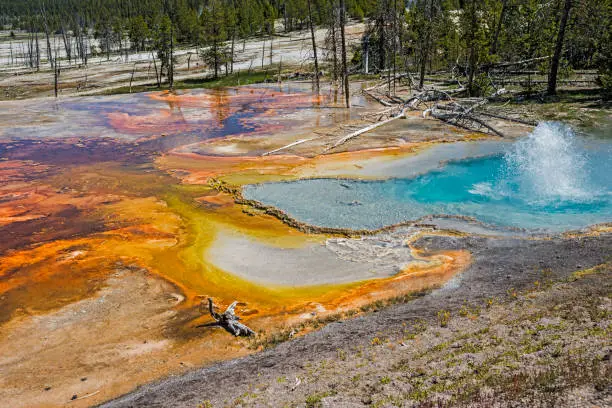 Firehole Spring on the Firehole Lake Drive in Lower Geyser Basin at Yellowstone National Park, Wyoming.