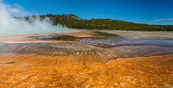 Grand Prismatic Spring, Midway Geyser Basin, Yellowston National Park, Wyoming.  Showing the hot spring and water with the colorful bacteria giving an orange to brown colors. Runoff from the hot spring with the colorful bacteria.