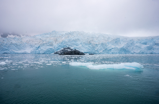 Panorama - penguin colonies, cruise ship & tourists,