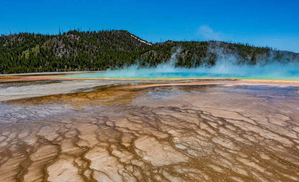 Grand Prismatic Spring, Midway Geyser Basin, Yellowstone National Park, Wyoming.  Showing the hot spring and water with the colorful bacteria giving an brown color to the terraces. Grand Prismatic Spring, Midway Geyser Basin, Yellowstone National Park, Wyoming.  Showing the hot spring and water with the colorful bacteria giving an brown color to the terraces. midway geyser basin stock pictures, royalty-free photos & images