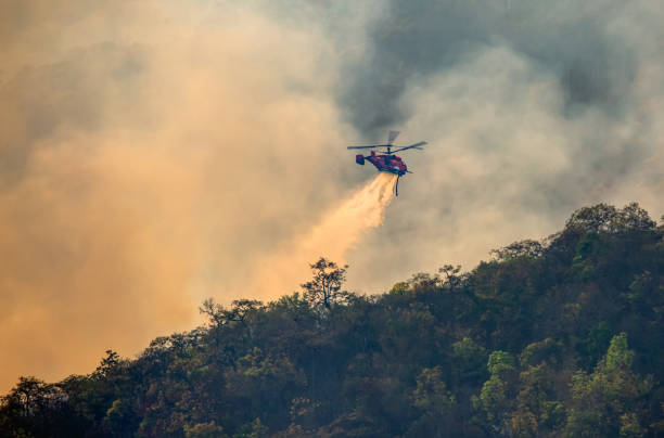 un hélicoptère de lutte contre les incendies largue de l’eau sur un feu de forêt - korean culture photos et images de collection