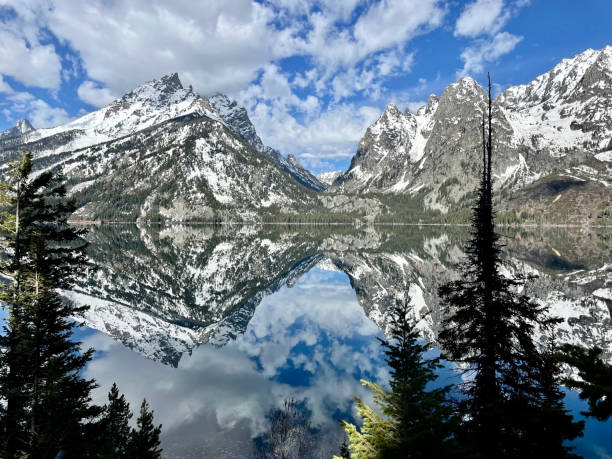 parque nacional jenny lake grand teton, wyoming - nature reflection grand teton teton range - fotografias e filmes do acervo