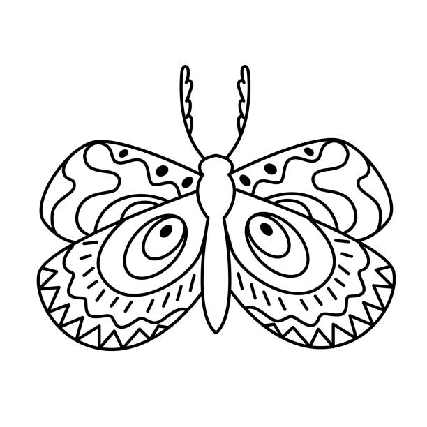 ilustrações de stock, clip art, desenhos animados e ícones de moth or butterfly. card for coloring book. magic and astrological symbol. line art for stickers or tattoo. the world of nature and insects. vector illustration. - pattern information medium technology backgrounds