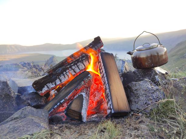 istock Cooking food on campfire in mountains. Camping season 1405934968