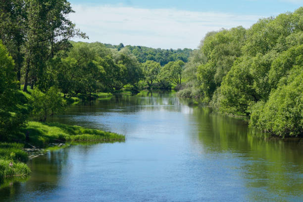 istock Beautiful view of the river in the forest. Summer 1405937655