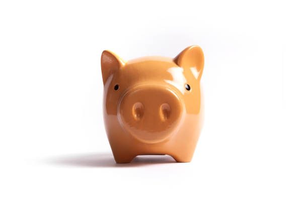 istock front view of piggy bank on white background 1405939731