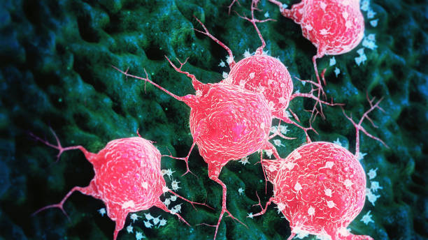 células cancerosas - cáncer tumor fotografías e imágenes de stock