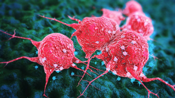 암 세포 - mri scanner mri scan radiation cancer 뉴스 사진 이미지