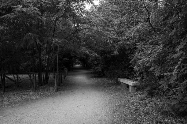 park in the morning