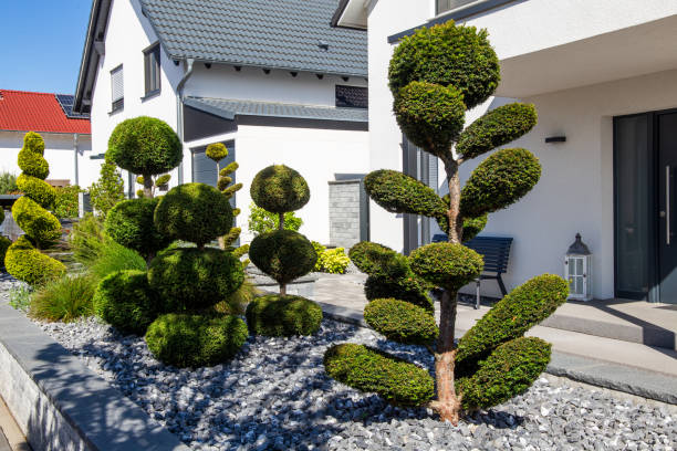 istock Modern and well-kept front garden with exceptionally beautiful planting 1405943761