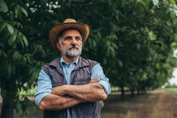 senior bearded farmer posing outdoor