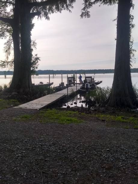 istock Fishing at the lake 1405944462