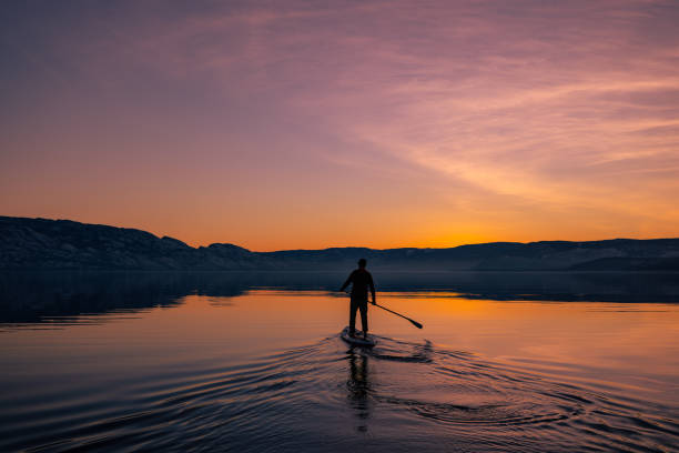 패들 보딩 - surfing paddling surfboard sunset 뉴스 사진 이미지