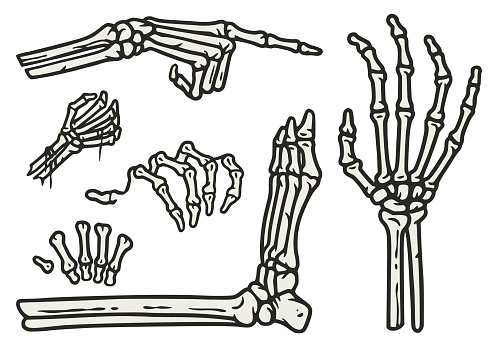 Skeleton hand and leg elements set for halloween