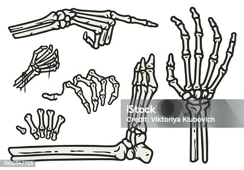 istock Skeleton hand and leg elements set for halloween 1405947725