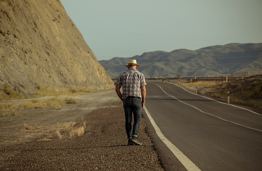 Rear view of adult man walking on desert along road