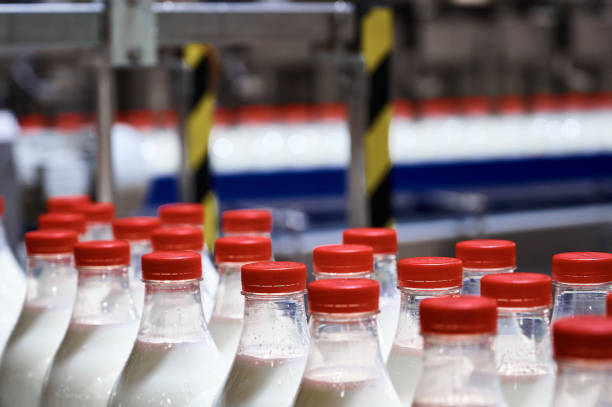 istock Row of bottles with pasteurized milk on conveyor belt 1405950863