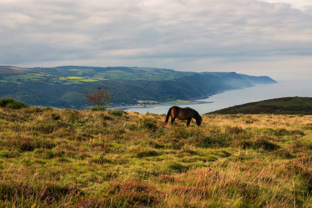 istock Bossington Hill Exmoor Somerset 1405952848