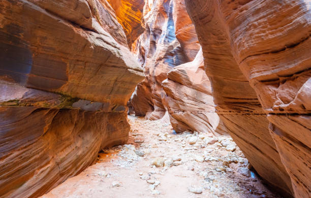 istock Buckskin Gulch Slot Canyon 1405956961