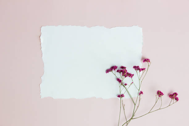 istock A white letter with purple flower over the pink background. 1405959741