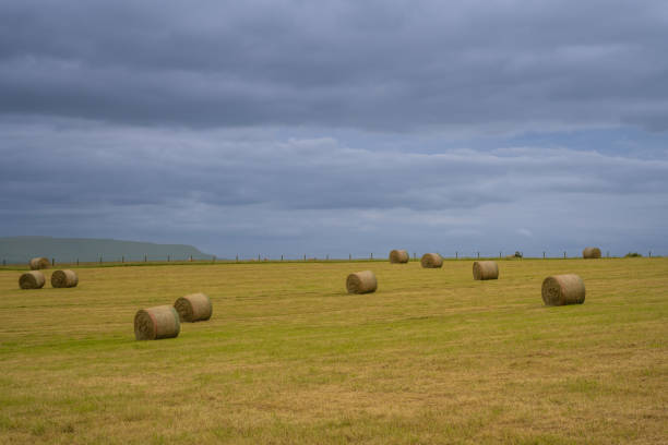 Hay bales in at a hilly field in Wales