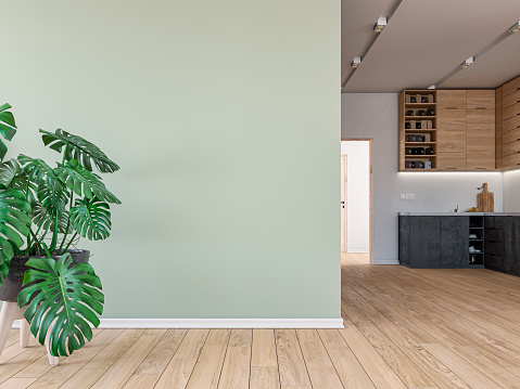 Empty living room with a potted plant monstera in front of a large light pastel green plaster wall background and hardwood floor. A modern kitchen in the background with high wooden cabinets and anthracite lower kitchen cabinets on a white plaster wall.  A bright hallway with doors on the side of the kitchen led light reflectors on the ceiling. 3D rendered image.