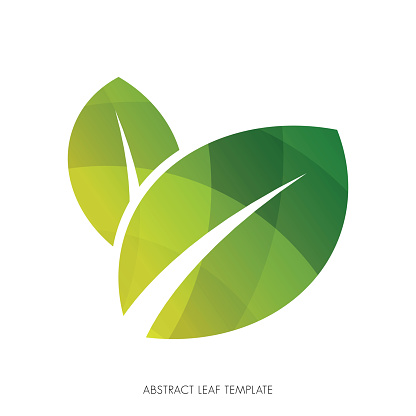 Abstract leaf vector icon stock illustration