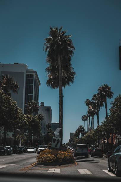 istock Streets of LA 1405964325