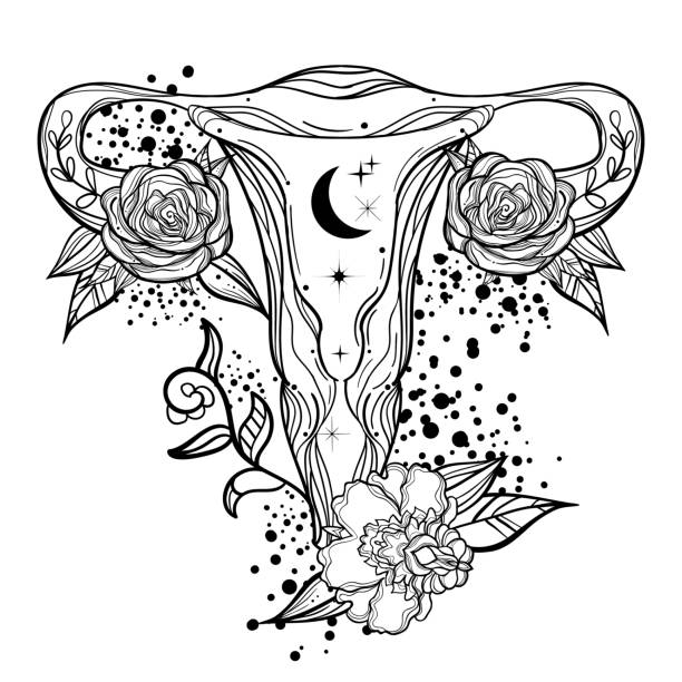 anatomical tattoo art print with uterus. woman power. - 女神 插圖 幅插畫檔、美工圖案、卡通及圖標