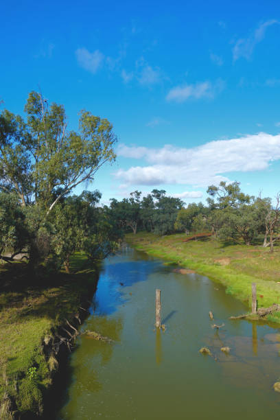 istock Lake Cargelligo, NSW, Australia 1405965054