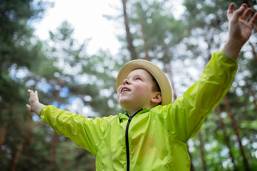 Portrait of a cute happy boy in the forest looking up with arms are outstretched