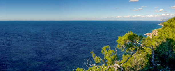 istock Panoramic view of the sea in excellent weather 1405967315