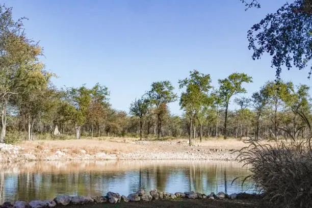 Waterhole at Etosha National Park in Kunene Region, Namibia