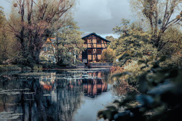 molino de agua y un estanque en un jardín cubierto de maleza - surrey southeast england england cottage fotografías e imágenes de stock